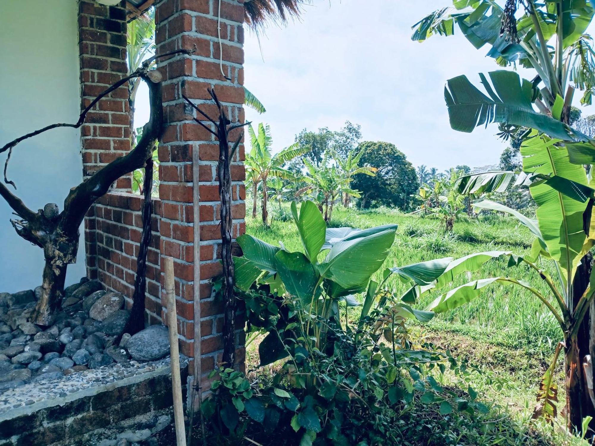 Opik Homestay Tete Batu Tetebatu Buitenkant foto